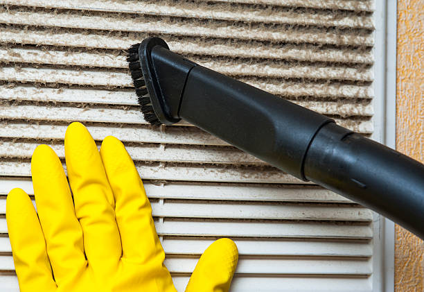 Best Ventilation Cleaning Services  in Holt, AL