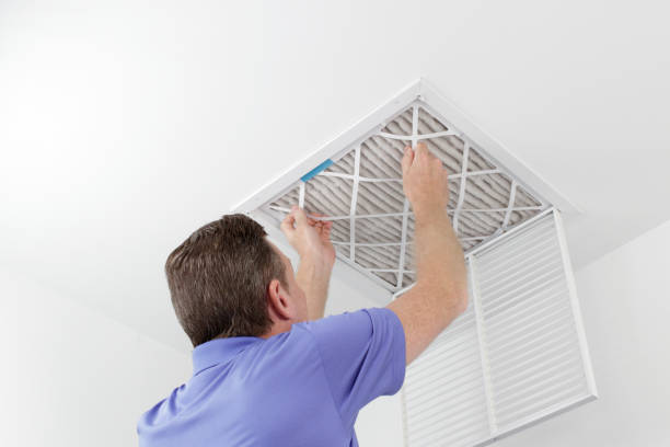 Best Air Duct Sanitizing Services  in Holt, AL